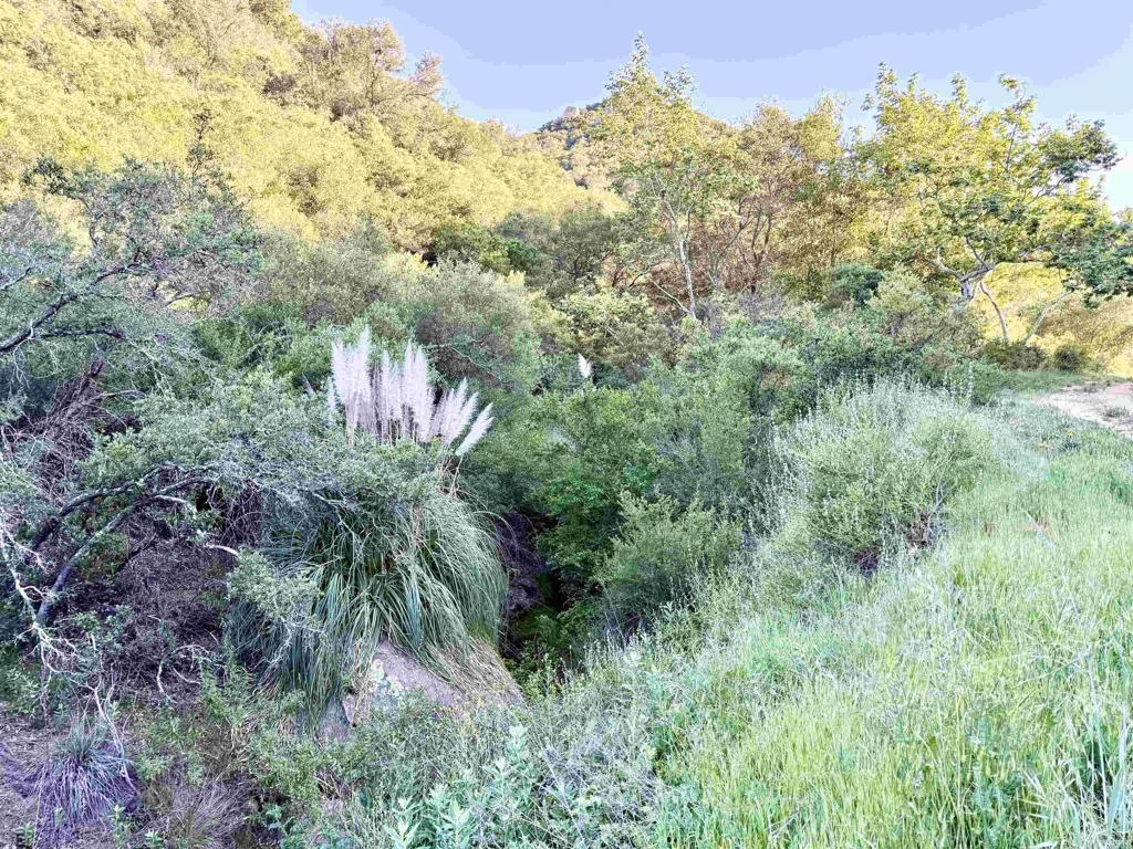 0 Mt Olympus Valley Road Fallbrook, CA 92028 - Photo 18 of 50