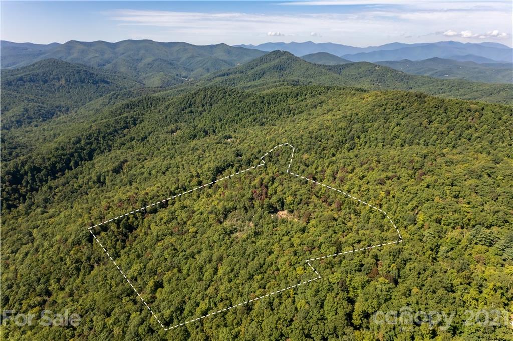 45 Rocky Knob Road Fairview, NC 28730 - Photo 12 of 46 Gallery Image 12