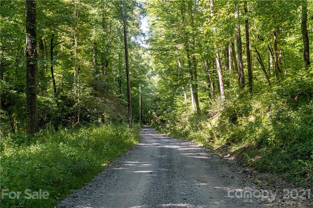 45 Rocky Knob Road Fairview, NC 28730 - Photo 46 of 46 Gallery Image 46