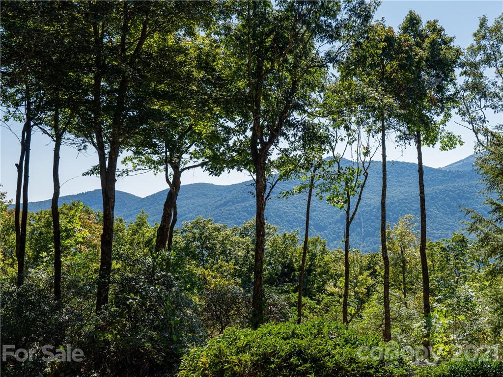 45 Rocky Knob Road Fairview, NC 28730 - Photo 6 of 46 Gallery Image 6