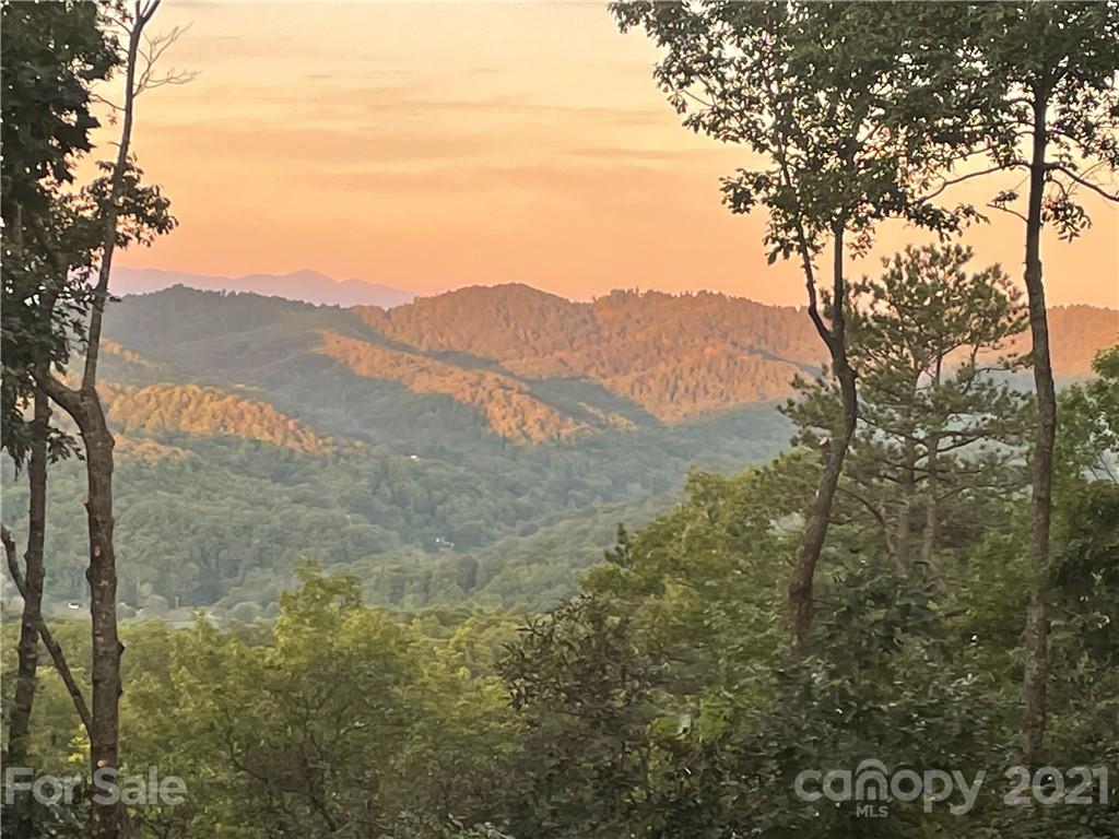 45 Rocky Knob Road Fairview, NC 28730 - Photo 7 of 46 Gallery Image 7