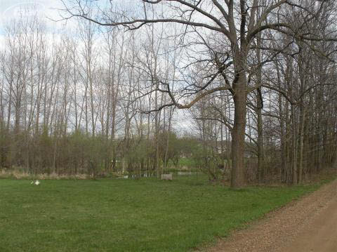 13868 South Cork Road Perry, MI 48872 - Photo 12 of 14 20153151-11.JPG