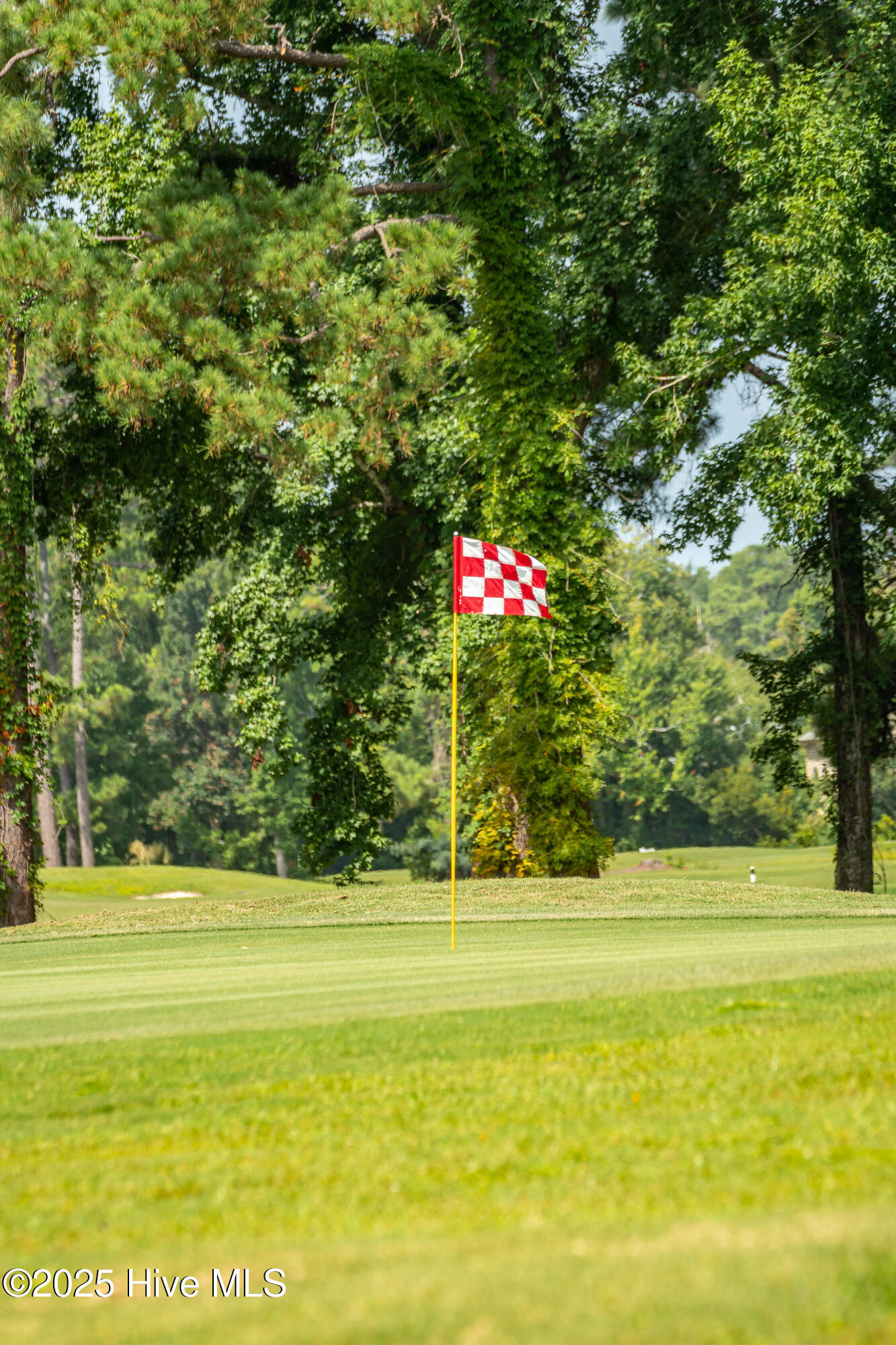 347 McCabe Road Morehead City, NC 28557 - Photo 37 of 45 Option to Join Brandywine Amenities