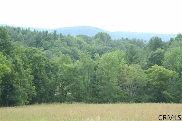 0 Phillips Road Valley Falls, NY 12185 - Photo 14 of 17 Photo 14