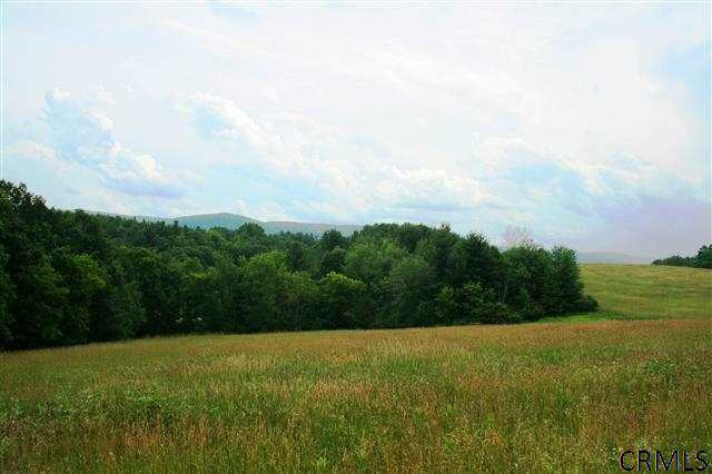 0 Phillips Road Valley Falls, NY 12185 - Photo 16 of 17 Photo 16