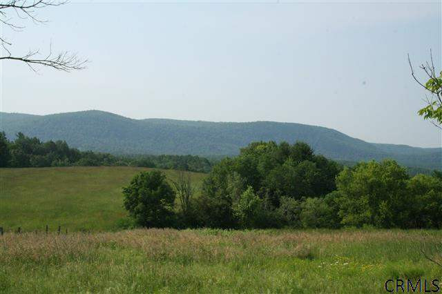 0 Phillips Road Valley Falls, NY 12185 - Photo 2 of 17 Photo 2