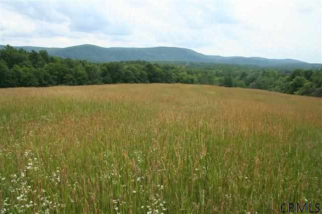 0 Phillips Road Valley Falls, NY 12185 - Photo 10 of 17 Photo 10