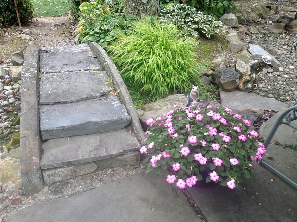 121 Sampson Drive Apollo, PA 15613 - Photo 25 of 33 a flower plants with a yard