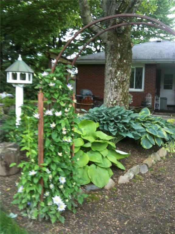 121 Sampson Drive Apollo, PA 15613 - Photo 27 of 33 a picture of plants