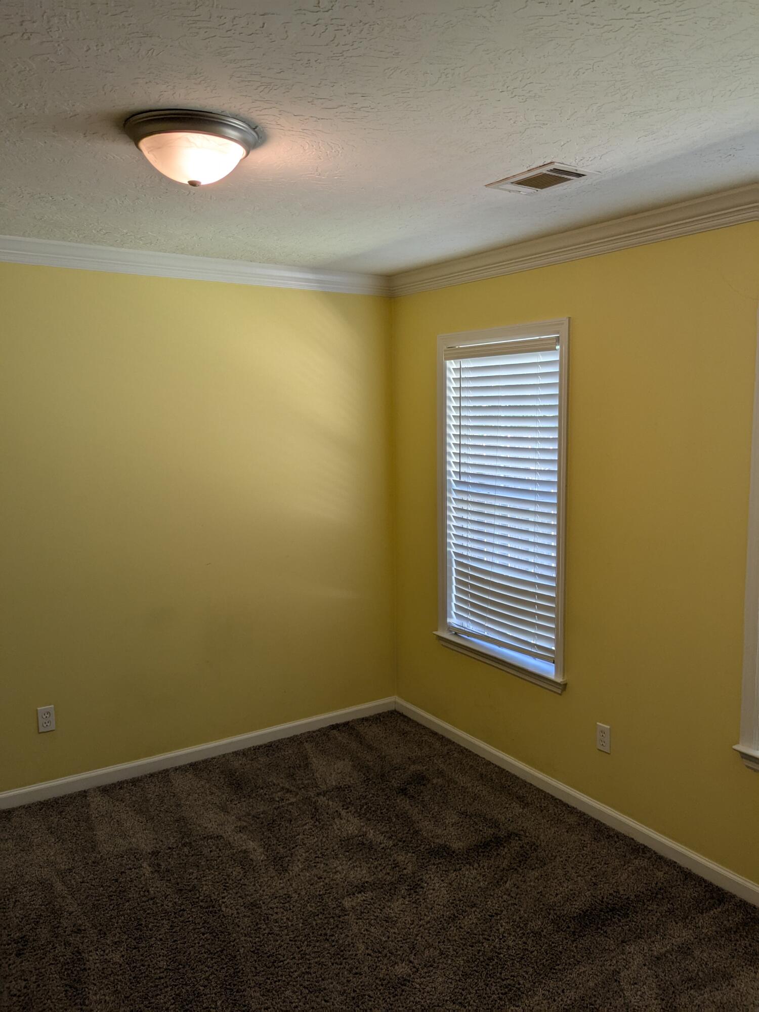 5157 Wheeler Lake Road Augusta, GA 30909 - Photo 8 of 14 PXL_20250628_150103695.MP