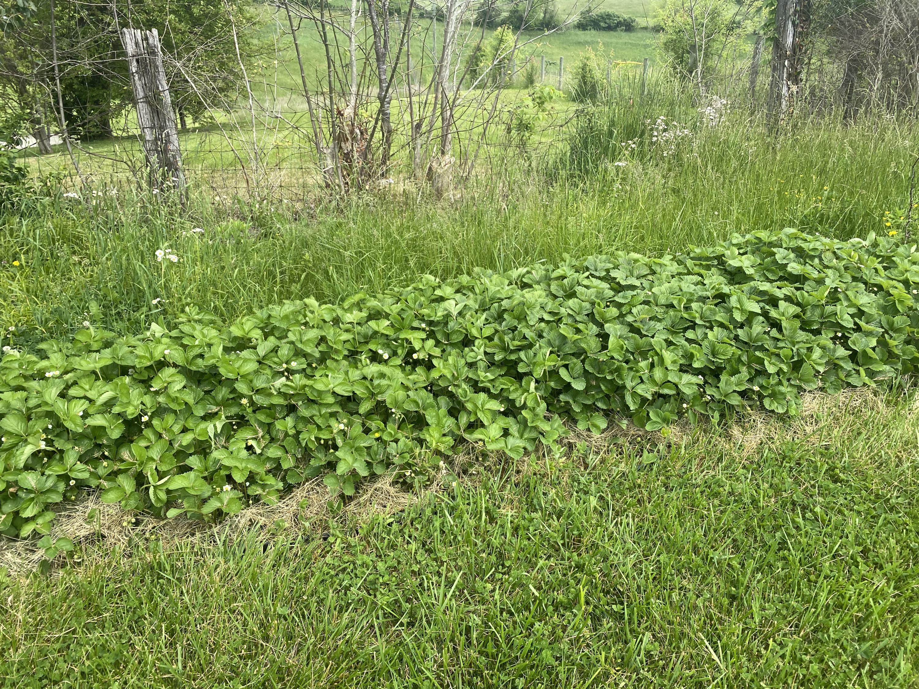 2079 Red House Road Richmond, KY 40475 - Photo 72 of 171 CC556EFA-1CAD-4B3B-9559-44377185D8F4