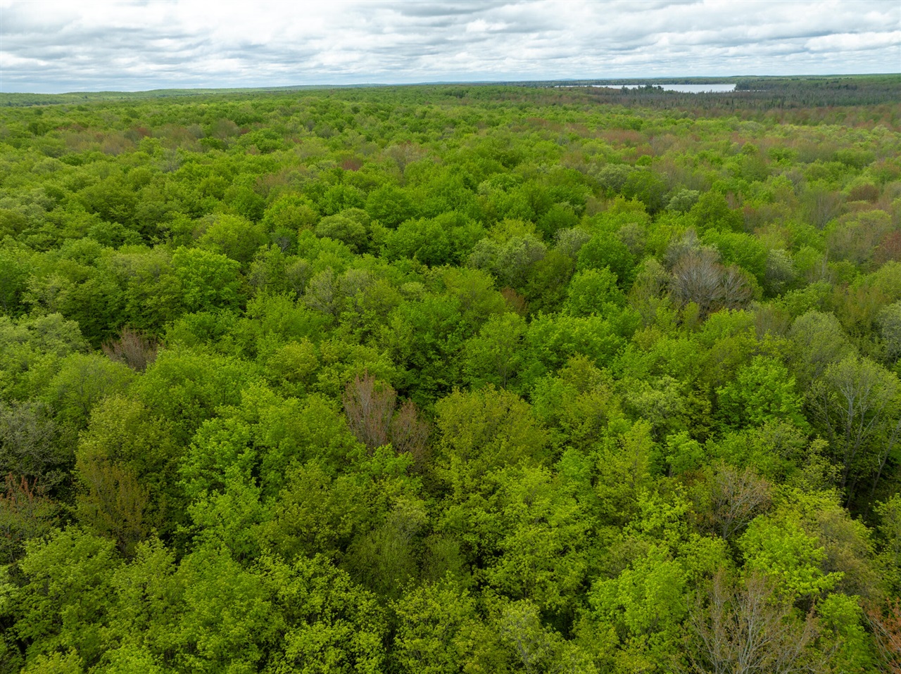 Vl Covert Road Northeast Mancelona, MI 49659 - Photo 19 of 22