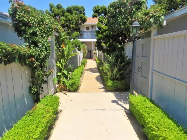 a view of a pathway with flower plants