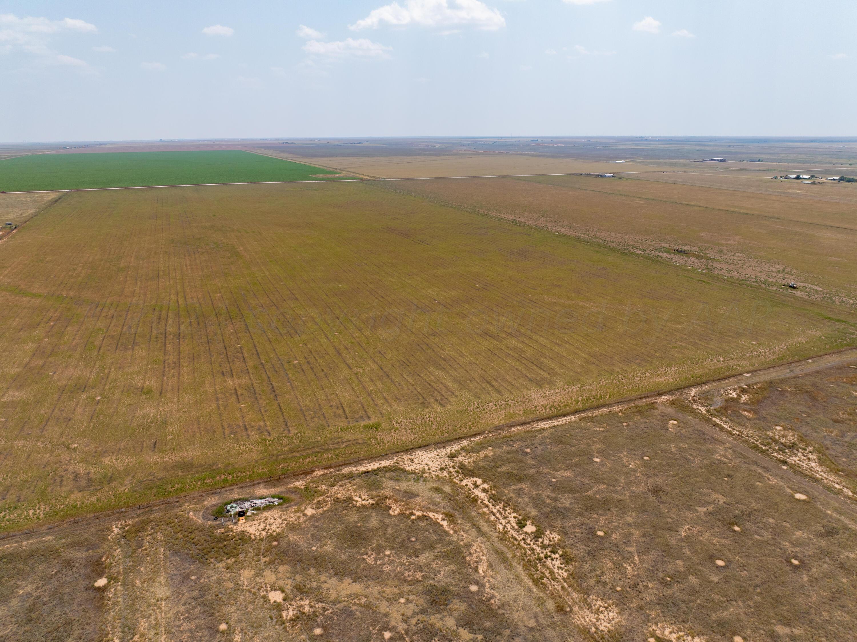 298 County Rd Canyon Canyon, TX 79015 - Photo 6 of 12 TR CR298 20240726-150047