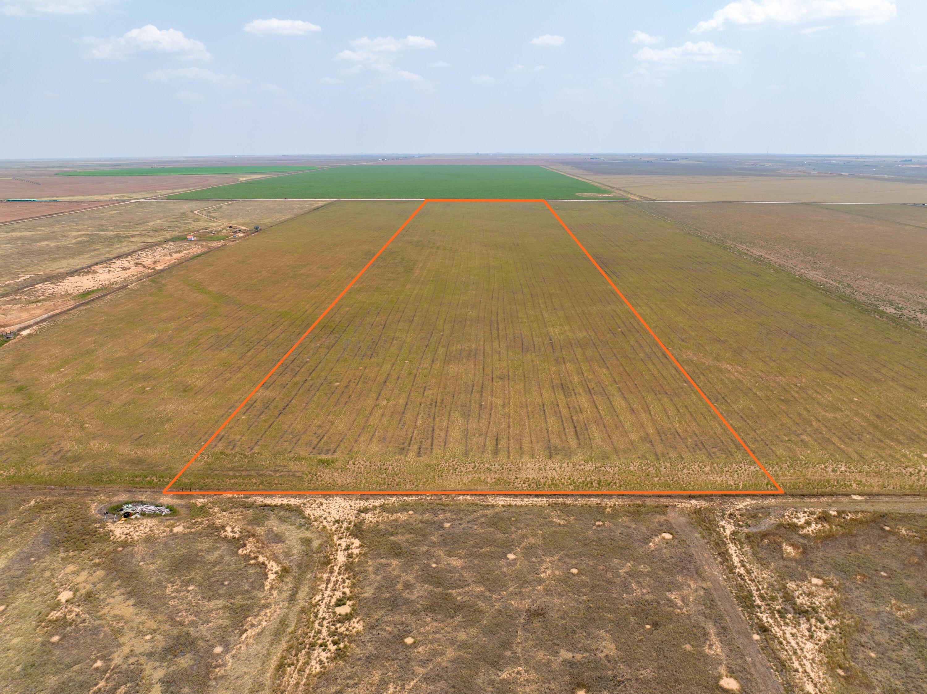 298 County Rd Canyon Canyon, TX 79015 - Photo 7 of 12 TR CR298 20240726-150100 outline