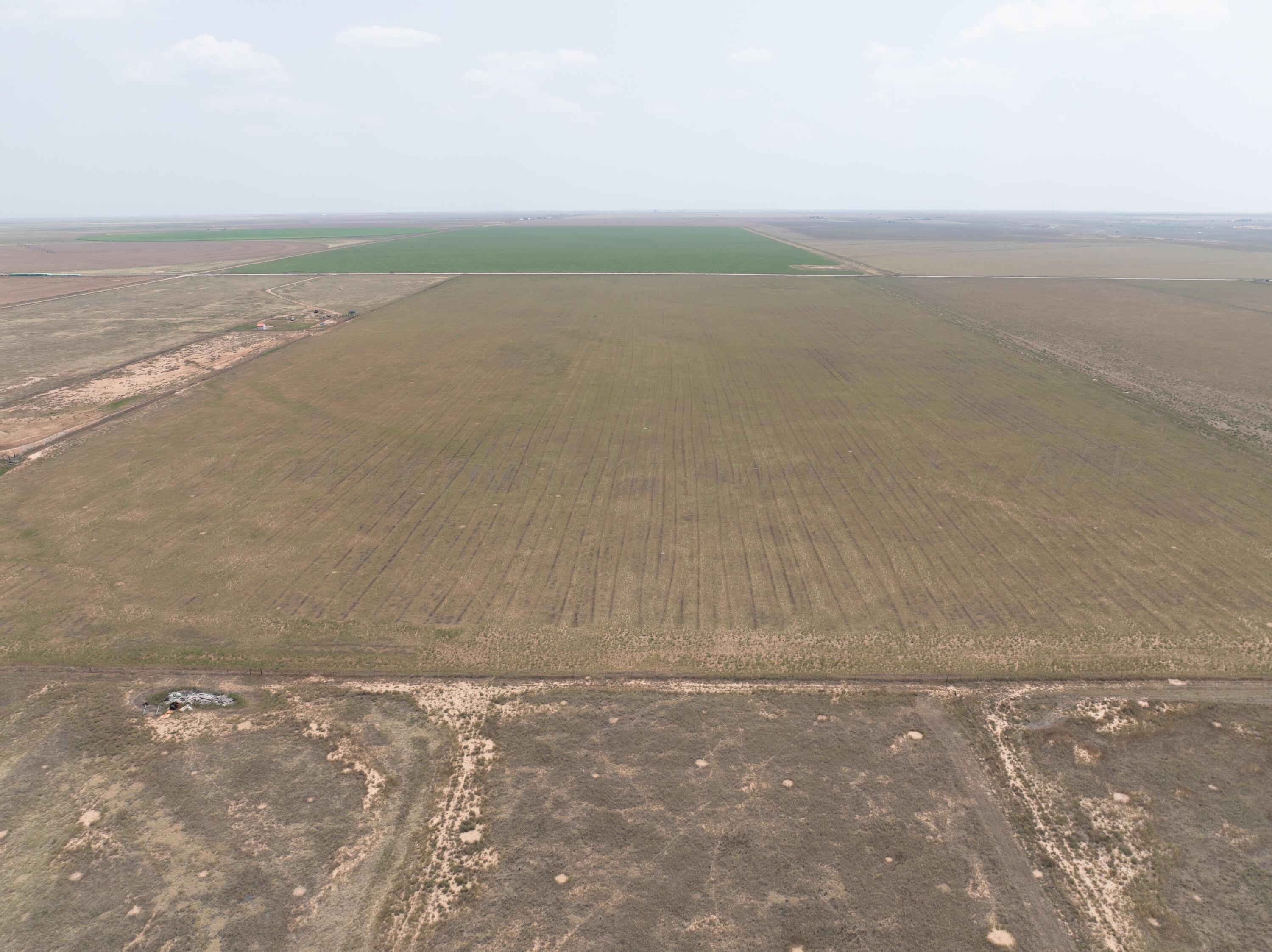 298 County Rd Canyon Canyon, TX 79015 - Photo 8 of 12 TR CR298 20240726-150100