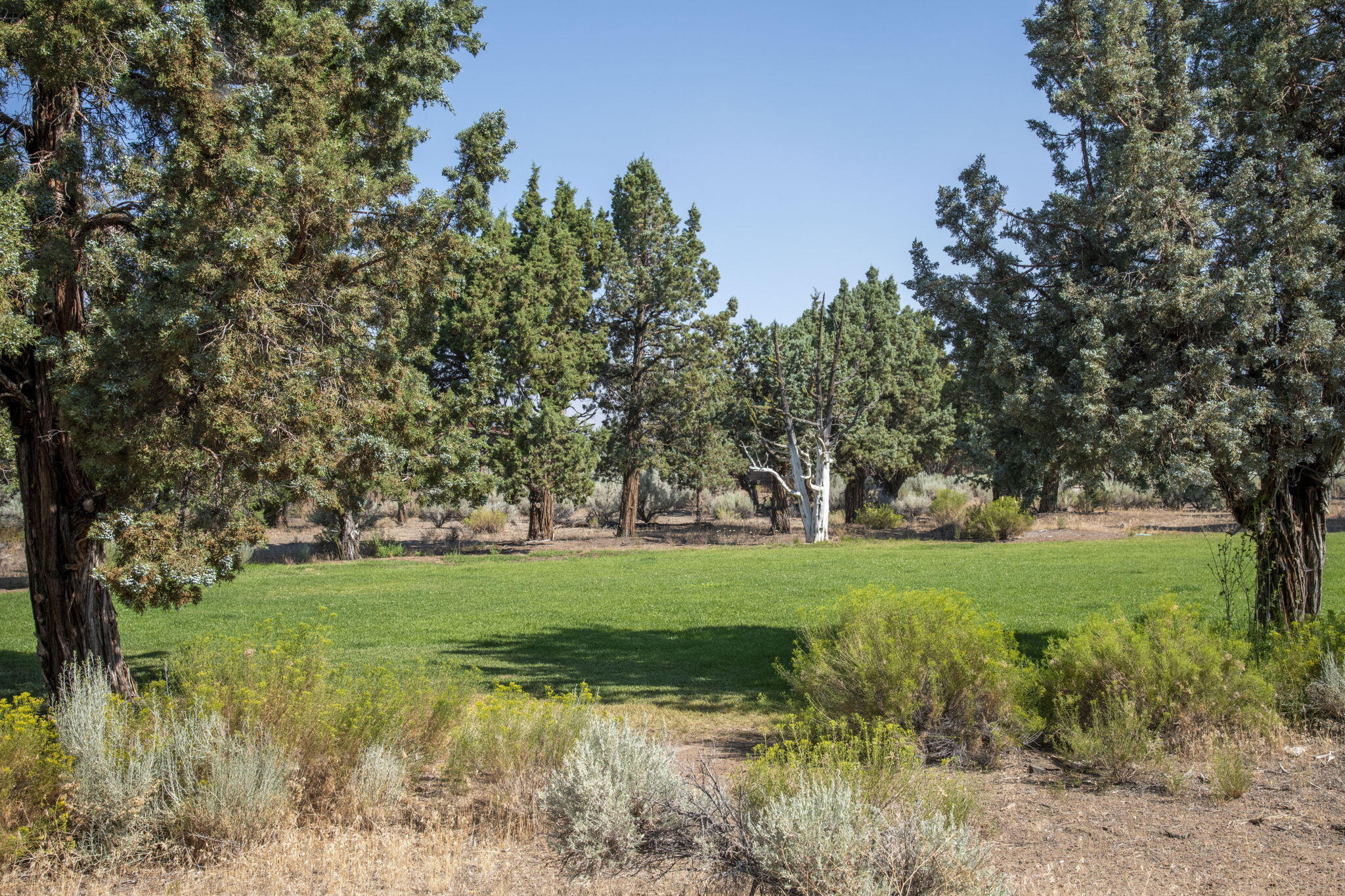 16660 South W Brasada Ranch Road, Unit NO 113 Powell Butte, OR 97753 - Photo 38 of 40