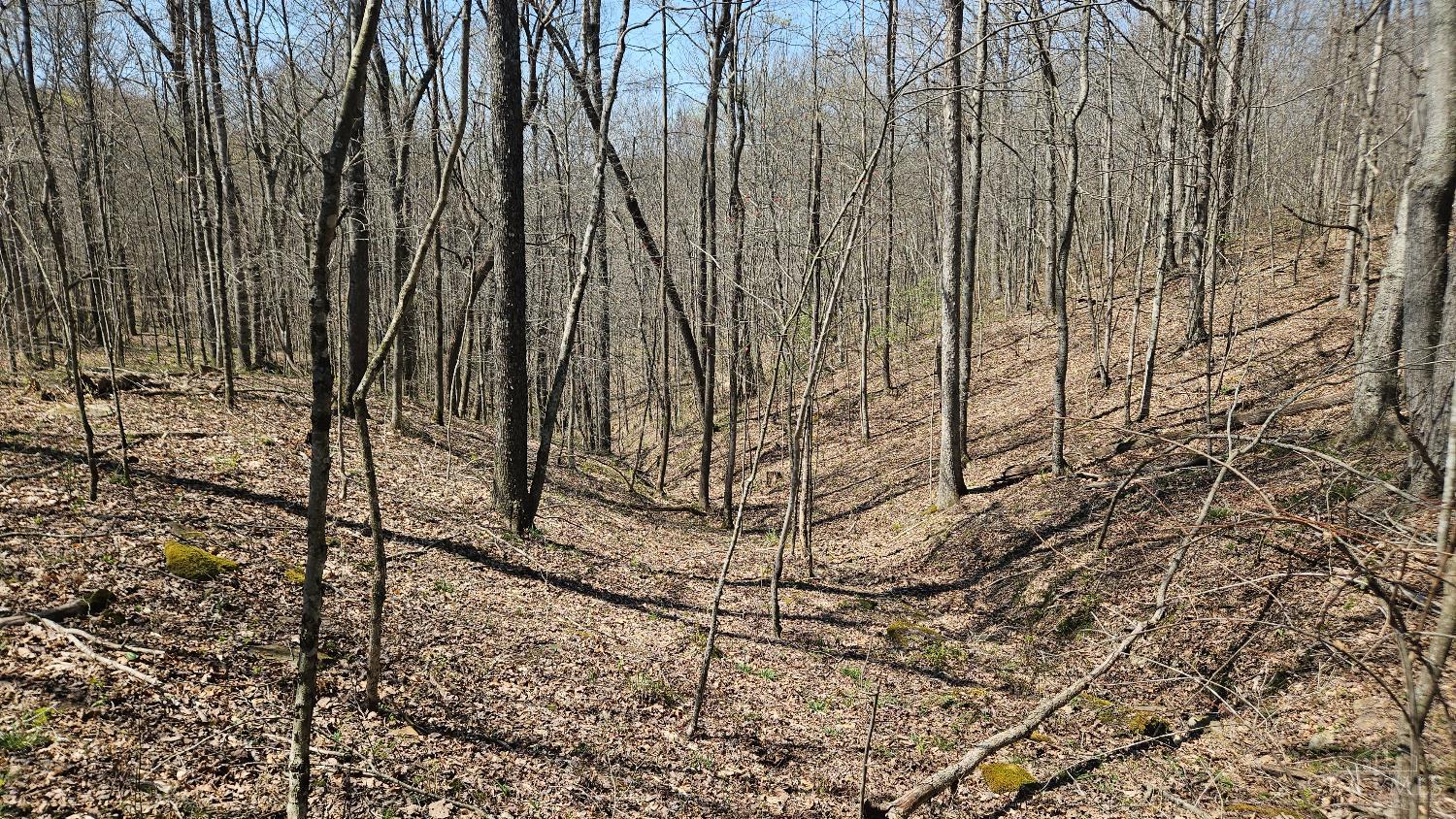 0 Spruce Hollow Road South Webster, OH 45682 - Photo 29 of 54