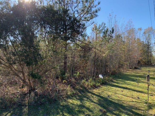 736 Johnson Road Atmore, AL 36502 - Photo 2 of 10