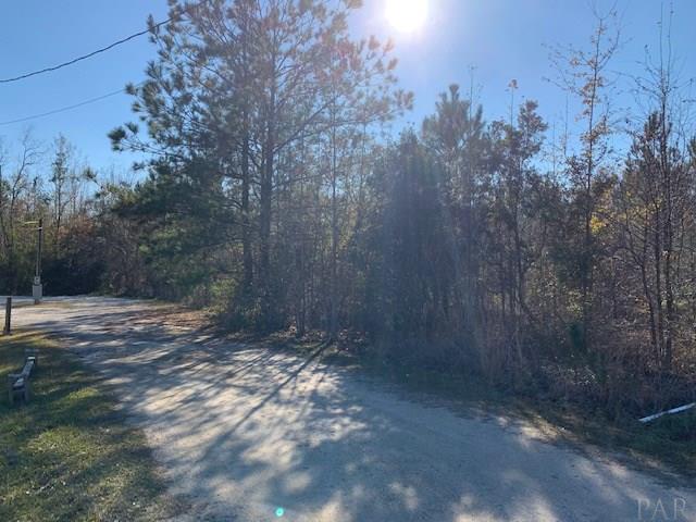 736 Johnson Road Atmore, AL 36502 - Photo 4 of 10