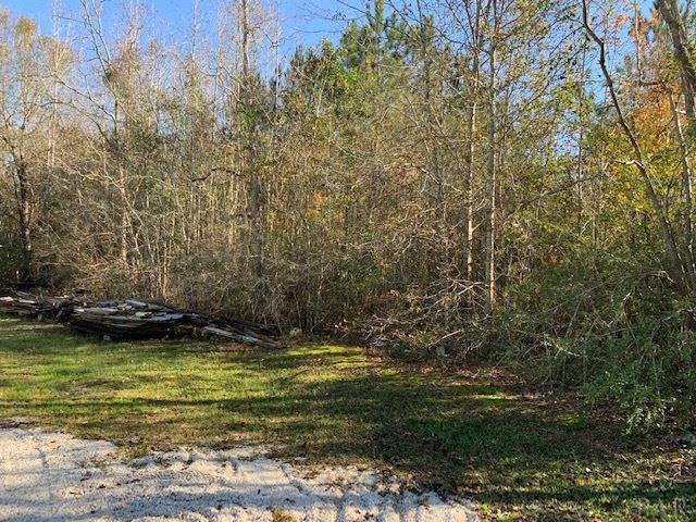 736 Johnson Road Atmore, AL 36502 - Photo 6 of 10