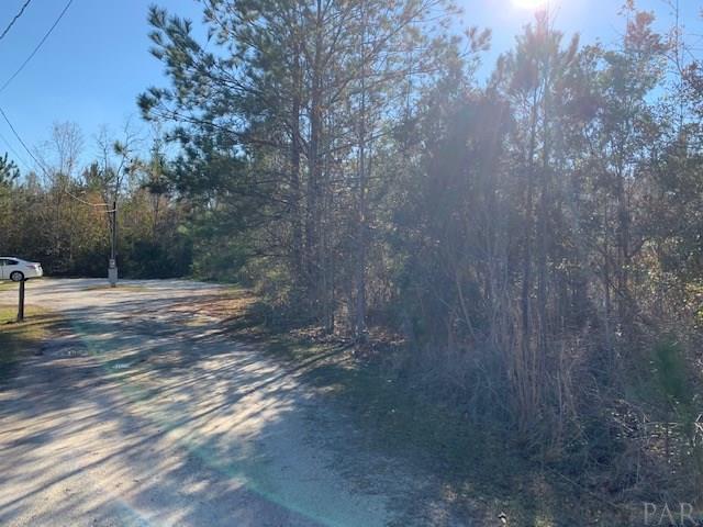 736 Johnson Road Atmore, AL 36502 - Photo 7 of 10
