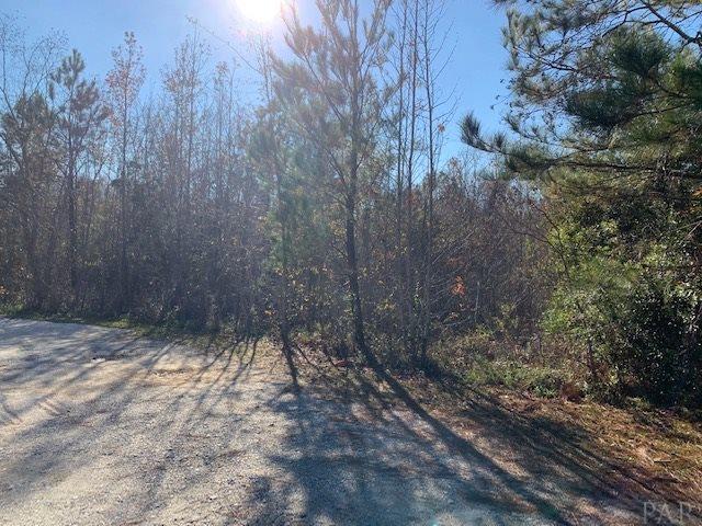 736 Johnson Road Atmore, AL 36502 - Photo 9 of 10