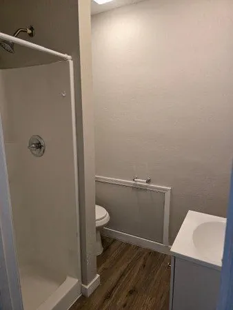 a bathroom with a shower and toilet