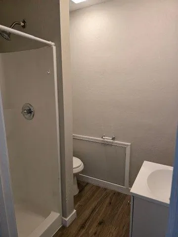 a bathroom with a shower and toilet