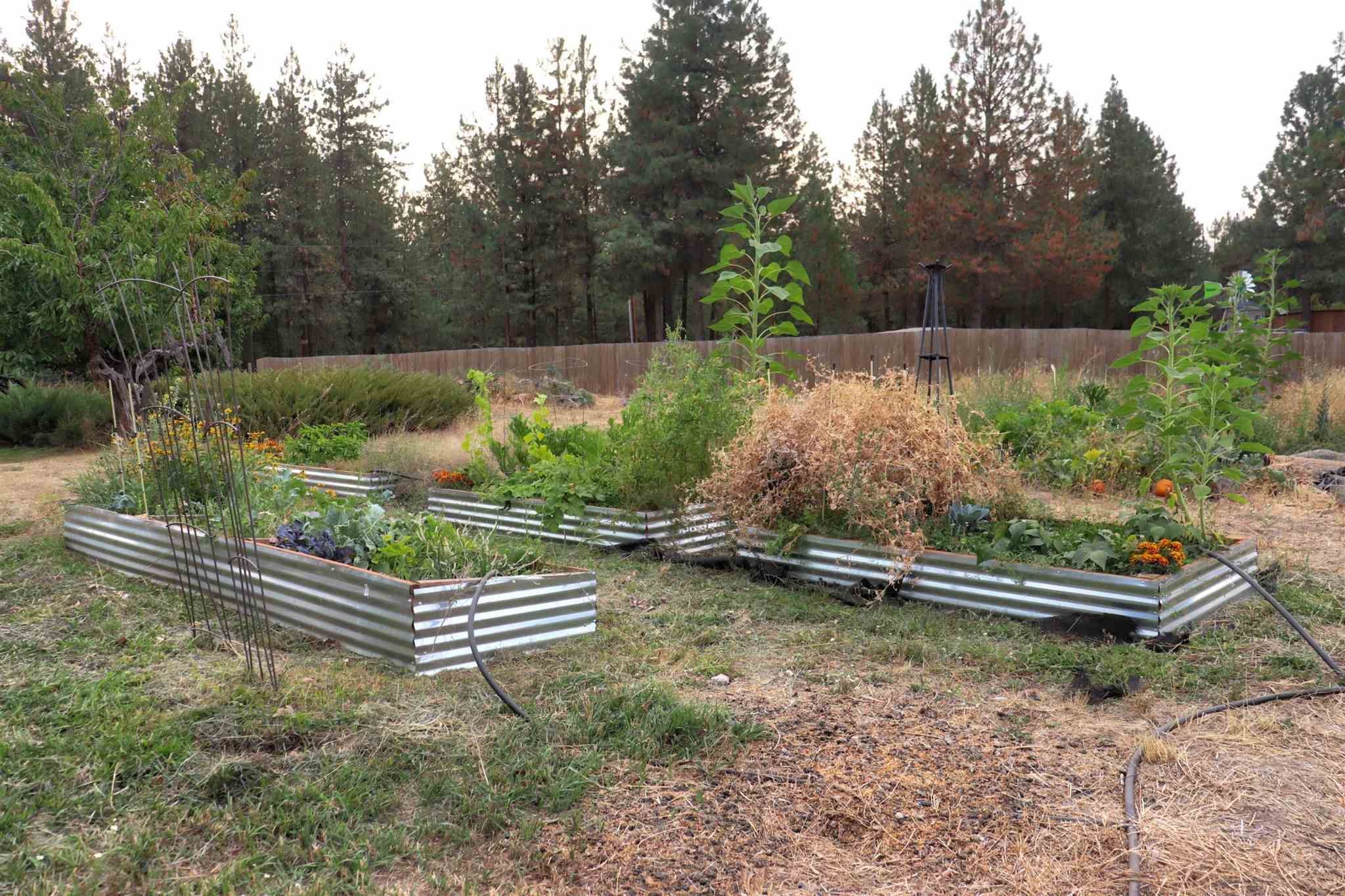 18425 North Division Road Colbert, WA 99005 - Photo 18 of 29