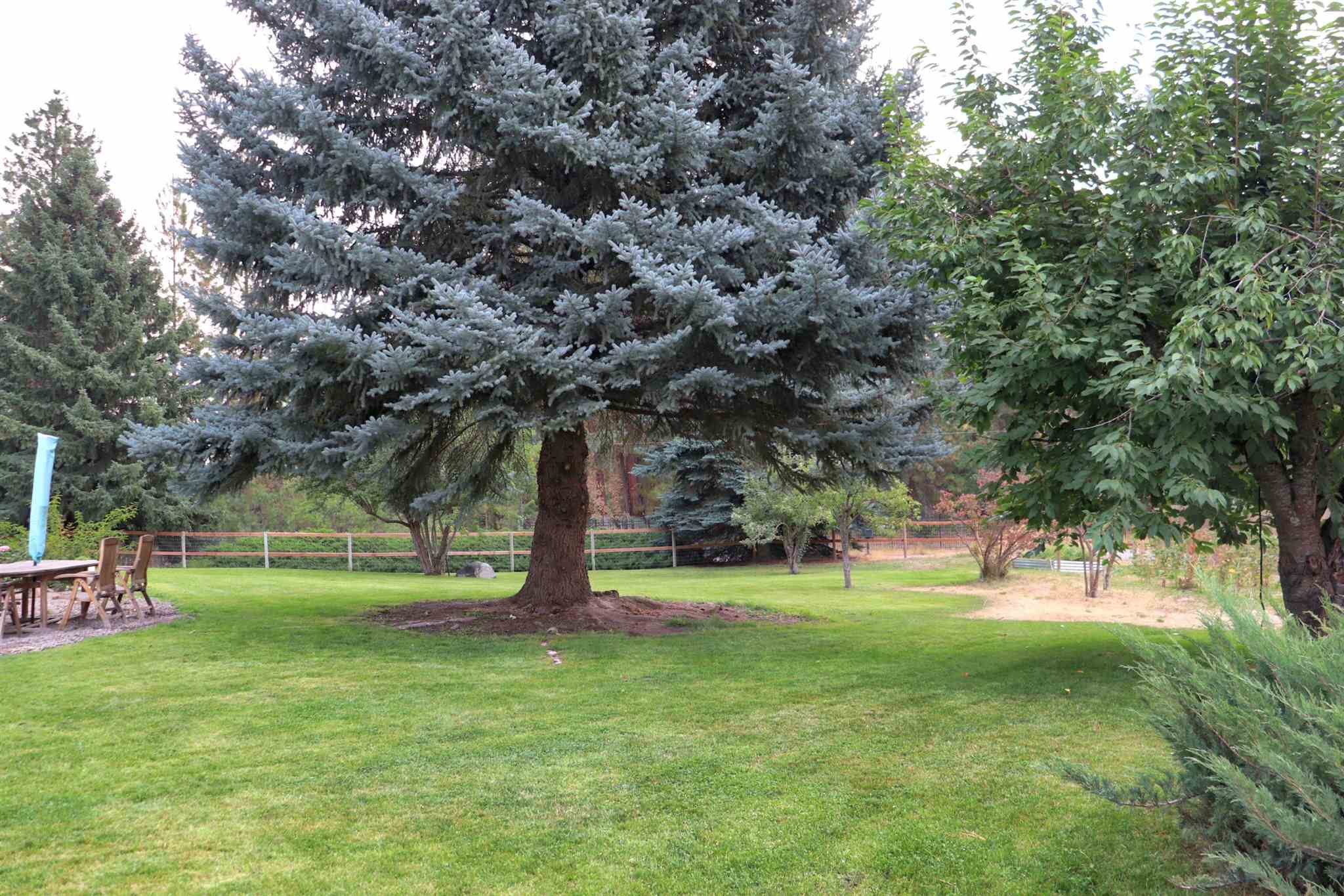 18425 North Division Road Colbert, WA 99005 - Photo 26 of 29