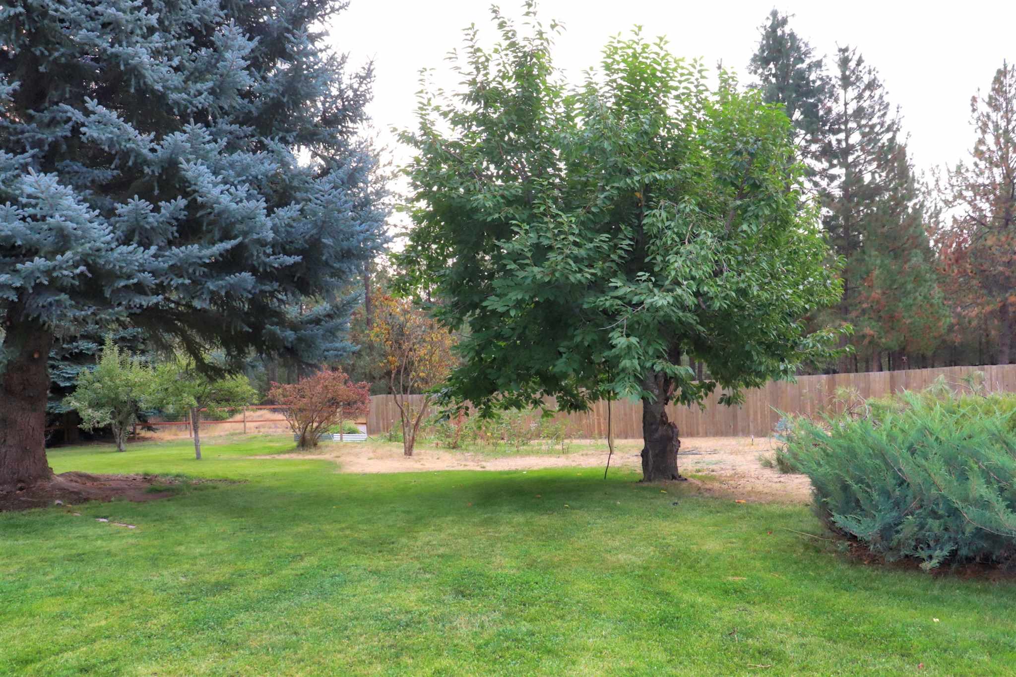 18425 North Division Road Colbert, WA 99005 - Photo 4 of 29