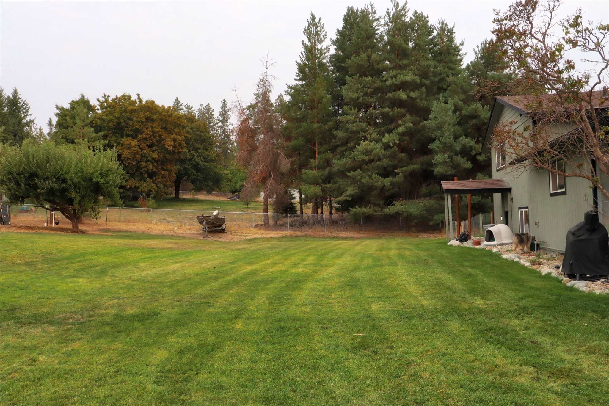 18425 North Division Road Colbert, WA 99005 - Photo 6 of 29