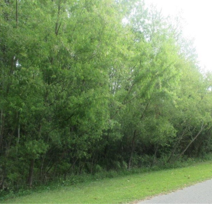 0 Meadowlark Road Valdosta, GA 31602 - Photo 3 of 7 Gallery Image 3