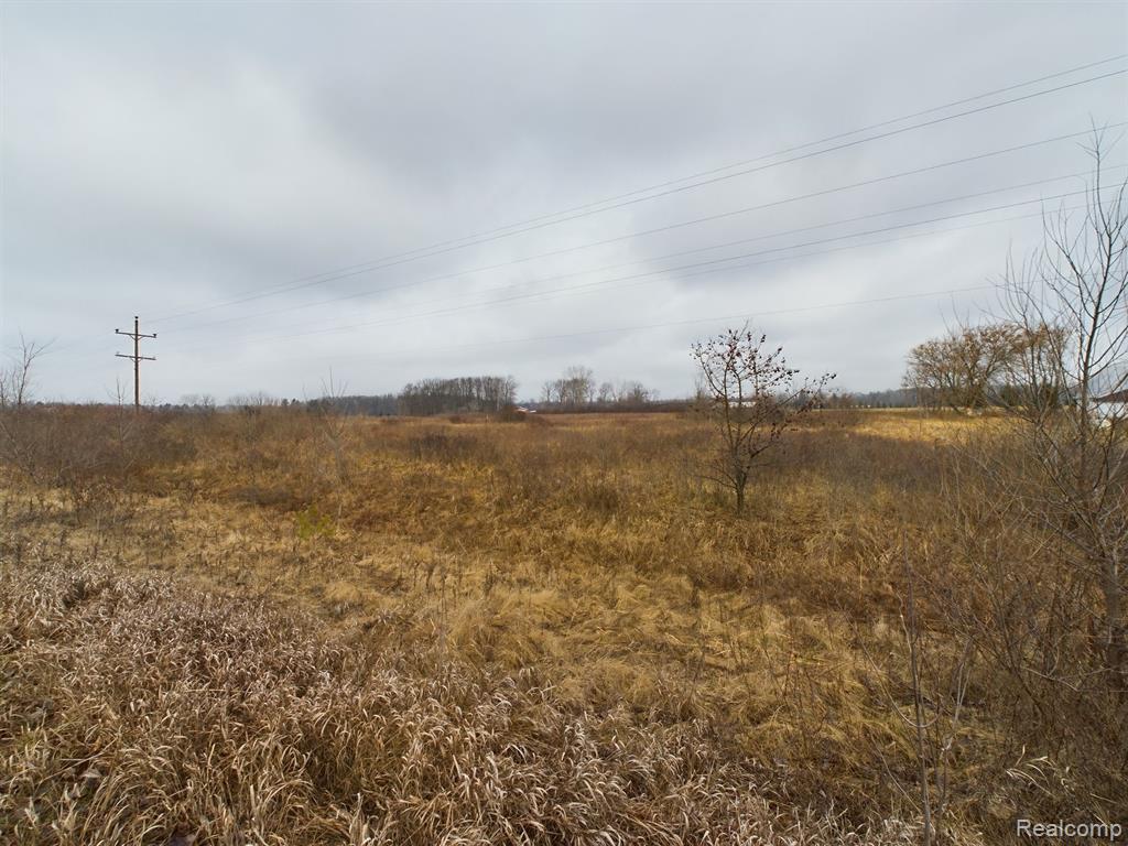 0 East Saginaw Road Sanford, MI 48657 - Photo 5 of 9