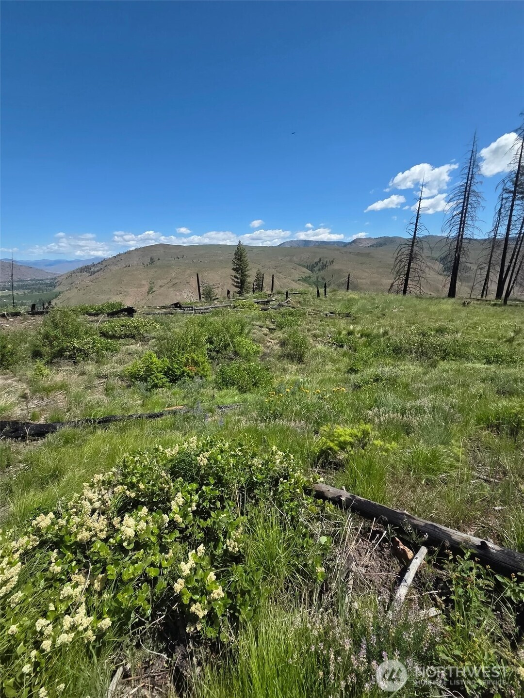 -xxx Gold Creek Loop Road Carlton, WA 98814 - Photo 11 of 14