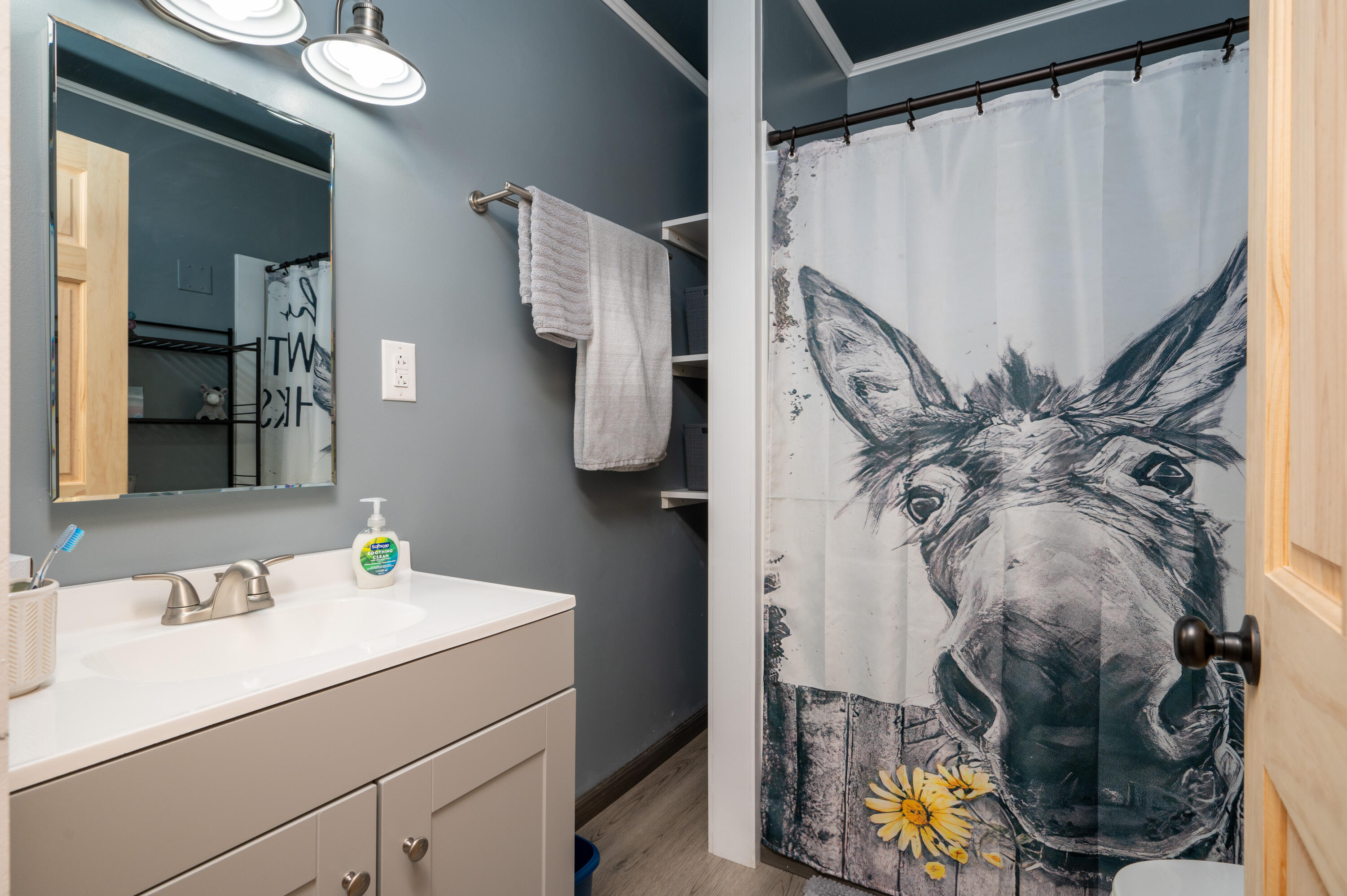 1724 Field Road Elizabethton, TN 37643 - Photo 16 of 31 Hall Bathroom