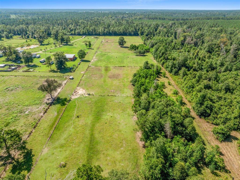 Tbd Hauser Road Deridder, LA 70634 - Photo 6 of 7