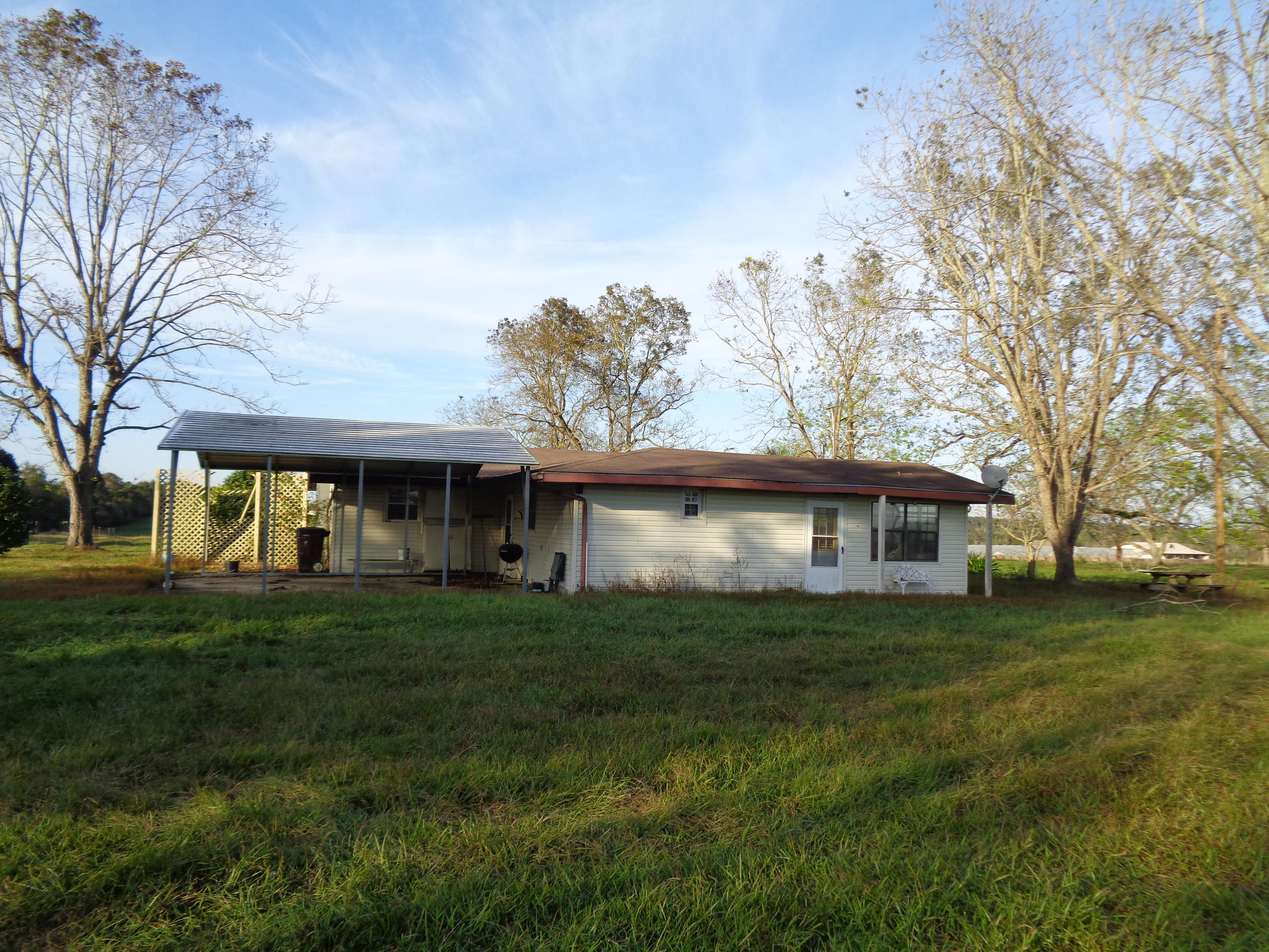 29636 Seay Road Florala, AL 36442 - Photo 3 of 23 a view of a yard in front of a house with large trees