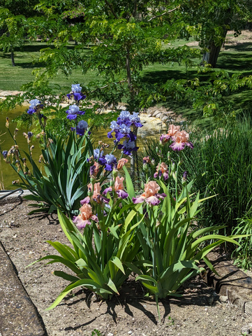 1040 West Mill Road Ferron, UT 84523 - Photo 86 of 117 Manicured landscaping featuring irises in bloom, a tranquil pond, and verdant trees