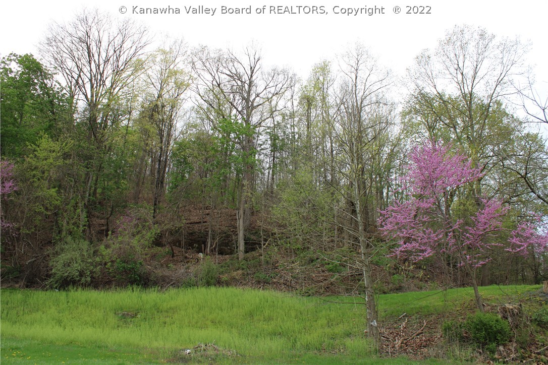 72 Klondyke Road Ripley, WV 25271 - Photo 42 of 50 Gallery Image 42
