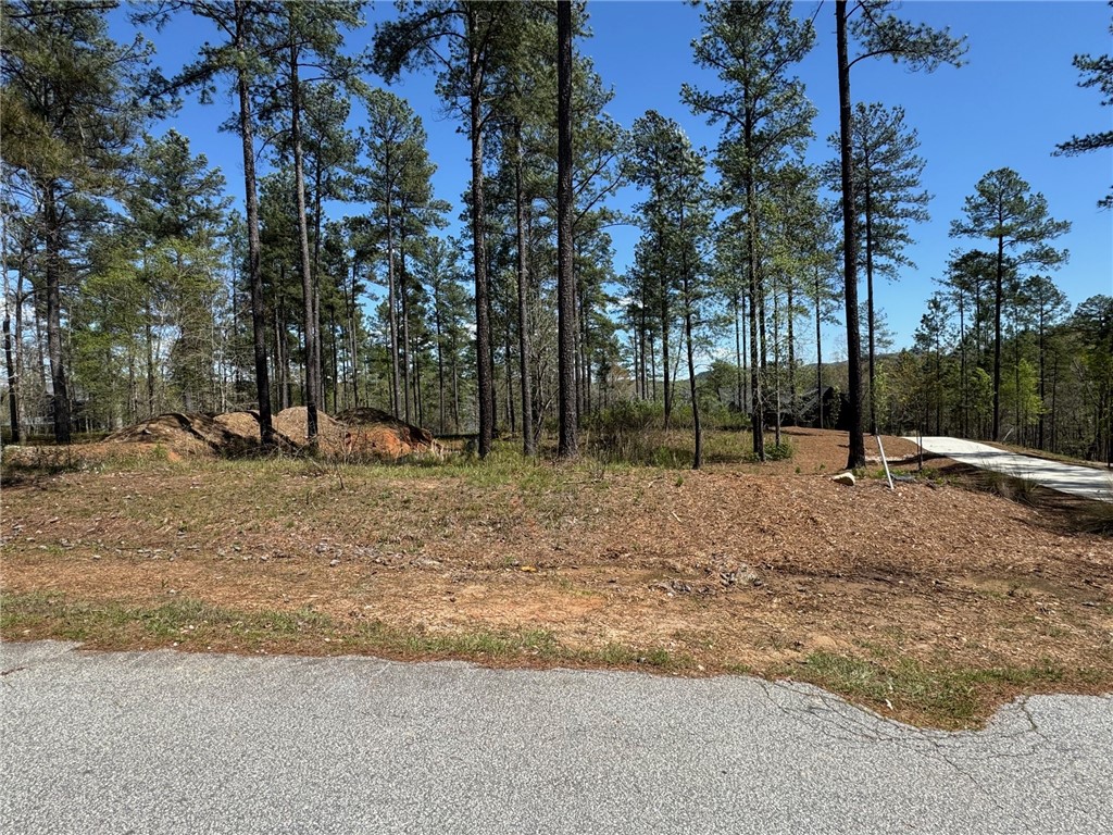 Np13 Old Chapman Bridge Road Salem, SC 29676 - Photo 7 of 10 Gallery Image 7