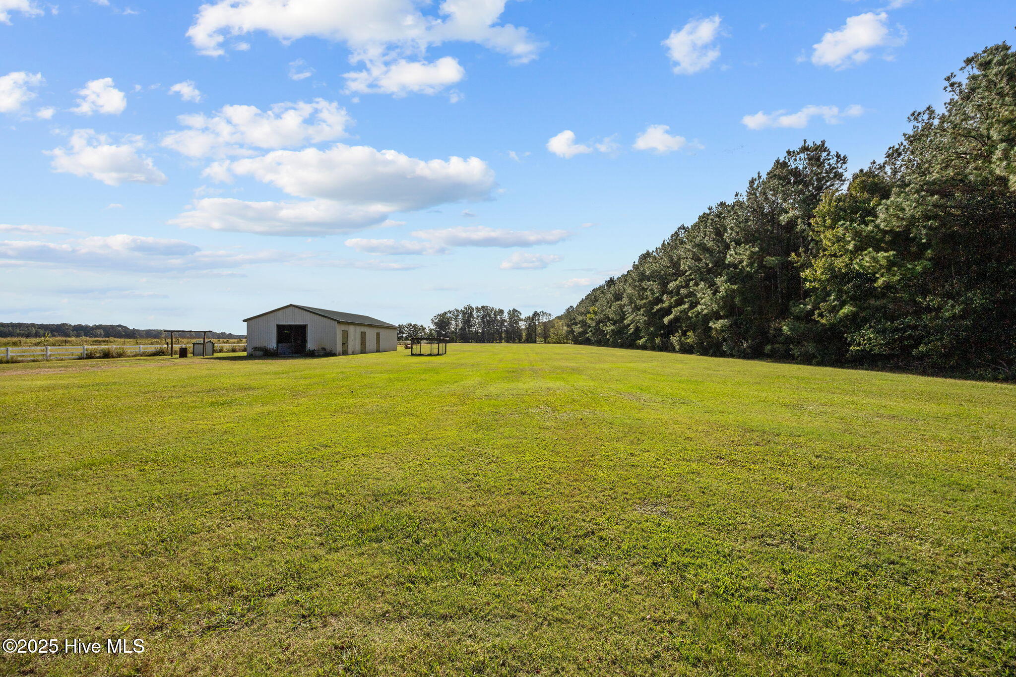 1131 Post Road Bath, NC 27808 - Photo 46 of 53 1131 back yard