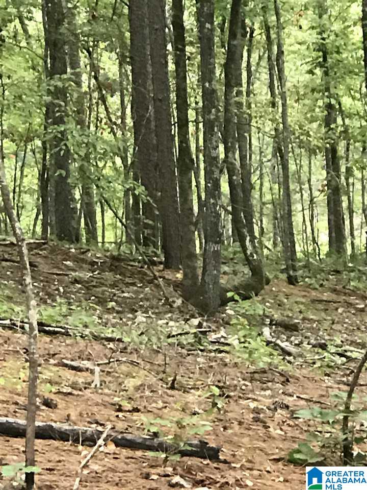 Unnamed Road, Unit 2 Alpine, AL 35014 - Photo 1 of 1