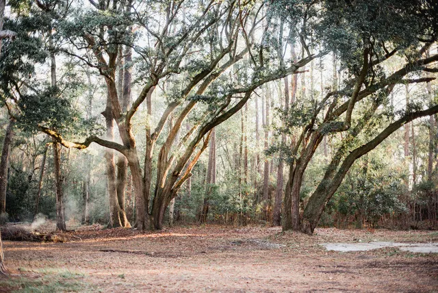 $3,000 | 3480 Johan Boulevard, Johns Island, SC 29455