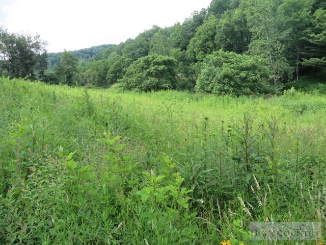 Lot # River Hills Road Lansing, NC 28643 - Photo 3 of 7