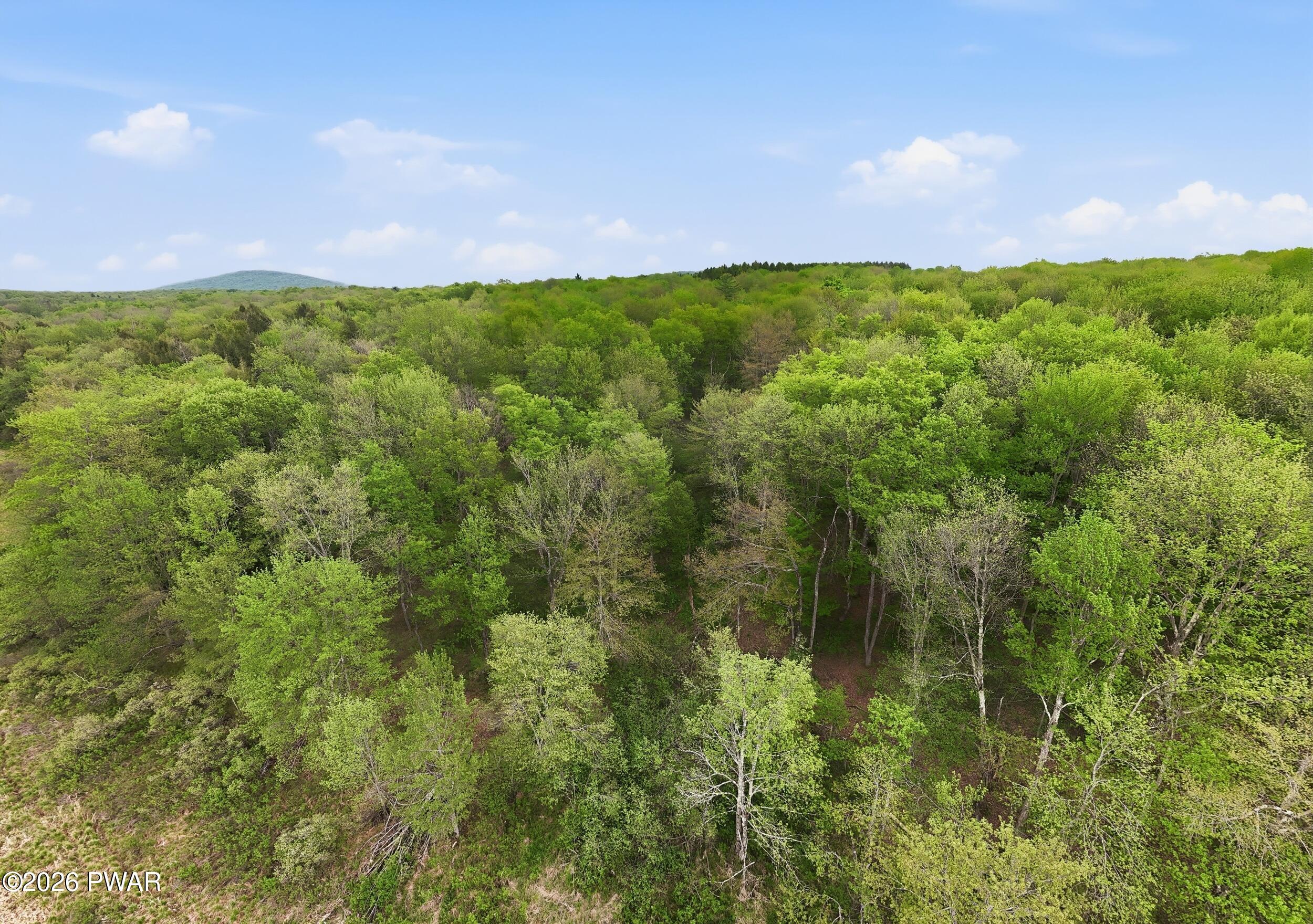 1655 Cottrell Road Thompson, PA 18465 - Photo 38 of 45