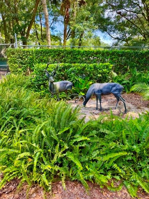 280 Campbell Ranch Run Geneva, FL 32732 - Photo 20 of 47 Gallery Image 20