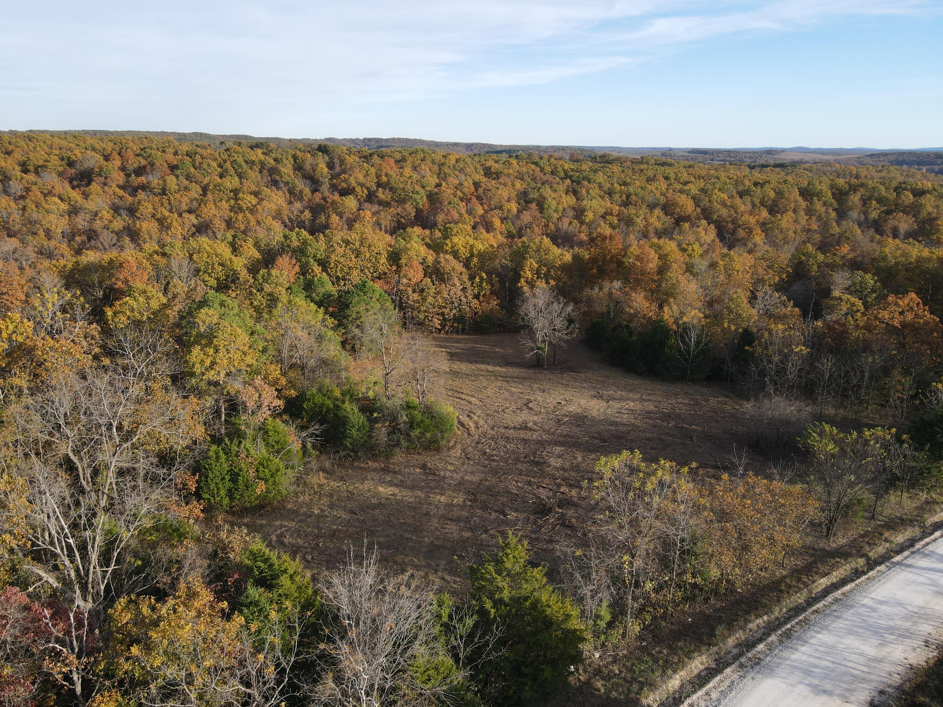 0 King Road Mountain Grove, MO 65711 - Photo 9 of 26 7
