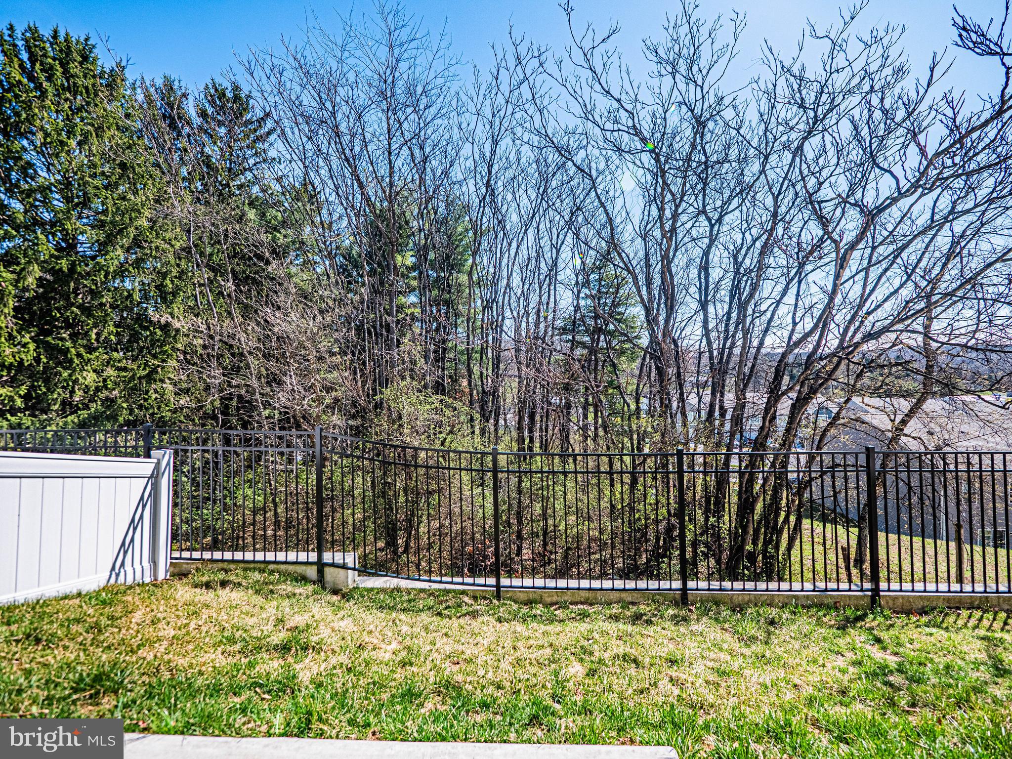 120 Paddington Street Falling Waters, WV 25419 - Photo 8 of 34 a view of backyard with green space